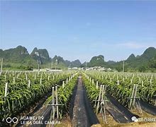 1.90火龙神殿古墓狼烟合击版