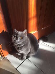 是什么问题 玩传奇私服登录器获取失败怎么定义问题 问题的本质是什么