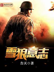 李师师传奇私服