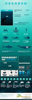 你正在苦苦寻找的传奇私服，绿色、复古、长久、耐玩...