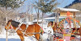 黑龙江传奇私服版