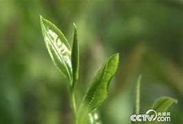 传奇开多倍经验的问题从前玩过一个sf 有个– 手机爱问