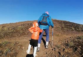 44号勋章地图怎么走传奇sf里面的