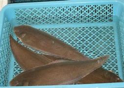 谁能告诉我哪有好的传奇3有没有好点的传奇3私服私服？谁能告诉我哪 – 手机爱问