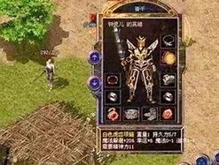 传奇私服外网架设的方法！！！！！！！！！