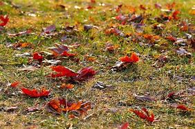 无赦传奇sf下载