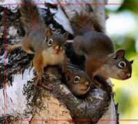 传奇私服总是打开一样的网页