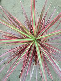 传奇私服怎么看不见装备