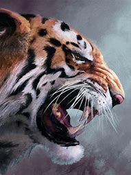 ??С?????Թ??Ĵ???????