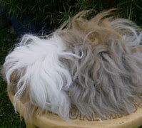 我的系统是win7旗舰版的现在玩传奇私服游戏的时候可以正常打开登录器但进入游戏页面输入账号的时候就会显示无法连接服务器 传奇私服登录到开始就没反应了  登陆器是这样的进入游戏也