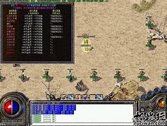 养老虎的传奇私服