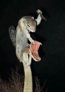 开传奇私服总是赔钱的几个原因