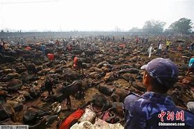 尸横遍野 《传奇私服》冒险指南之比奇矿洞