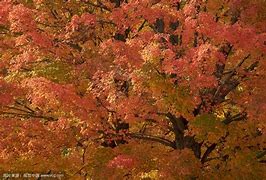 揭秘是不是所有的传奇sf都有漏洞啊？