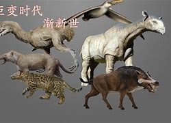 传奇中最6的极品装备是什么 最6的极品装备是什么北冥战纪传奇私服终极装备是啥 你喜欢哪一件呢