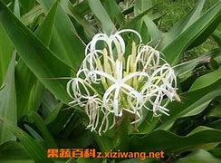 但是怎样的治疗才适合宝宝的皮肤呢 但是怎样的治疗才适合宝宝的皮肤呢