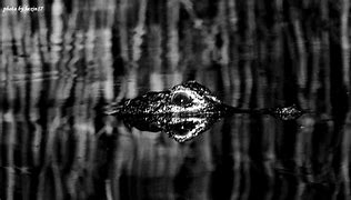 现在开一个传奇sf要多少钱 详细点  – 手机爱问