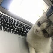 求一个稳定的传奇私服变态点没关系主要是稳定 – 手机爱问