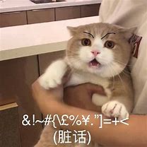 我的为什么别人上不能注册 别人注册了的名字 我就不能 – 手机爱问