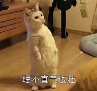是什么问题 怎么定义问题 问题的本质是什么